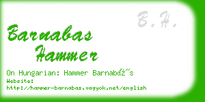 barnabas hammer business card
